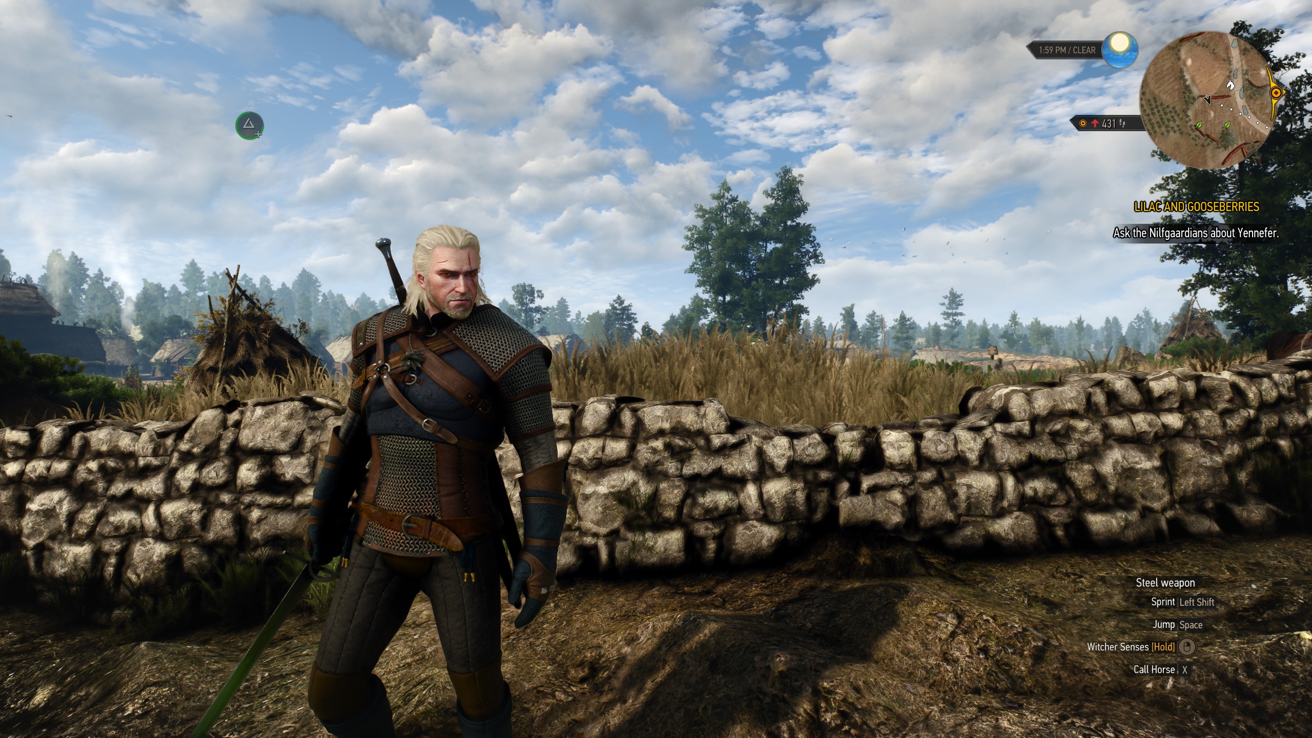 Geralt stands in a field.