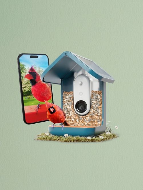 Birdbuddy Pro Solar Smart Bird Feeder With Camera