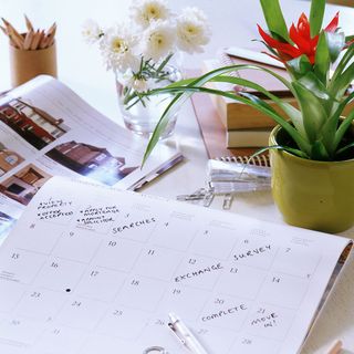 calendar with flower pot and colourd pencils and books