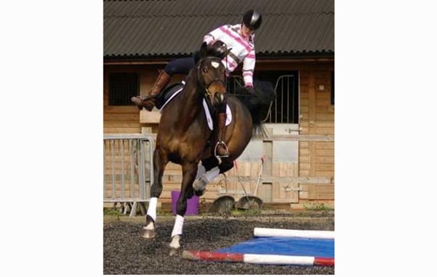 &ldquo;We were doing a LeTrec day at our yard and my warmblood, Finlay, was not going on this blue tarpaulin. But I did stay on!&rdquo; Tracy Skelly