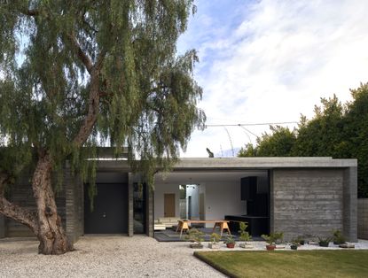 Bonsai House hero exterior with a tree