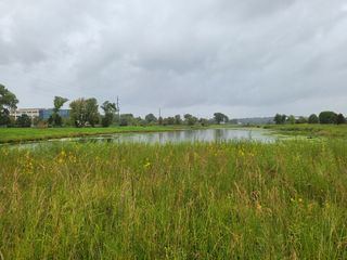 Samsung Galaxy Z Flip 3 camera samples