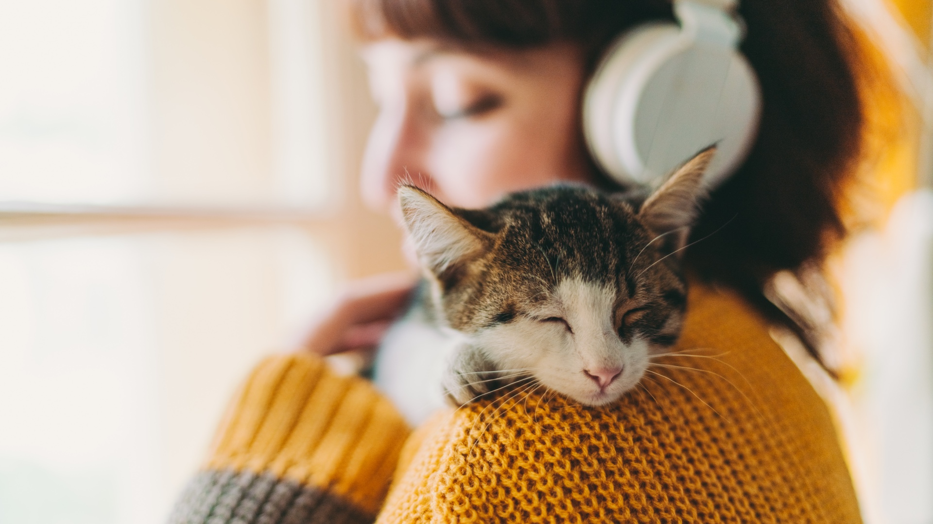 Cat sleeping on woman's shoulder