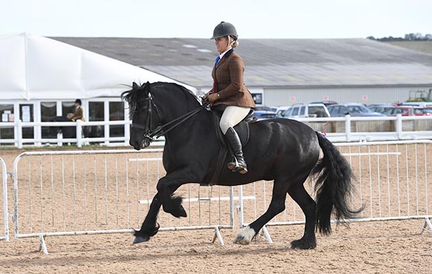 Heritage Show 13 10 2018