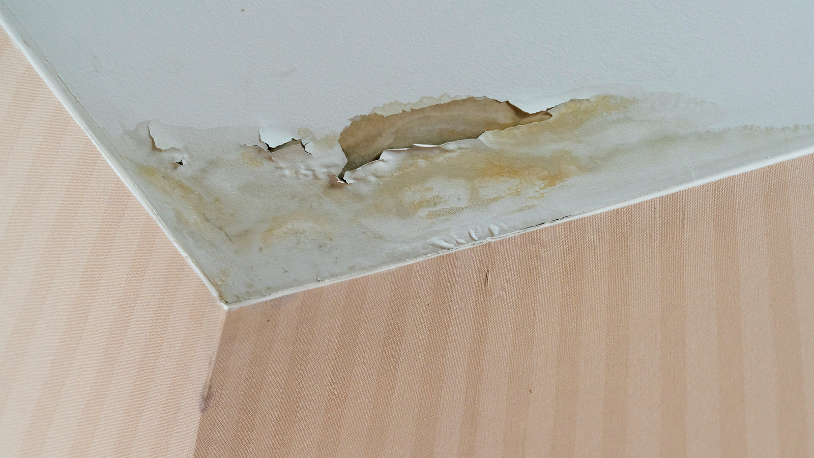 A water damaged ceiling