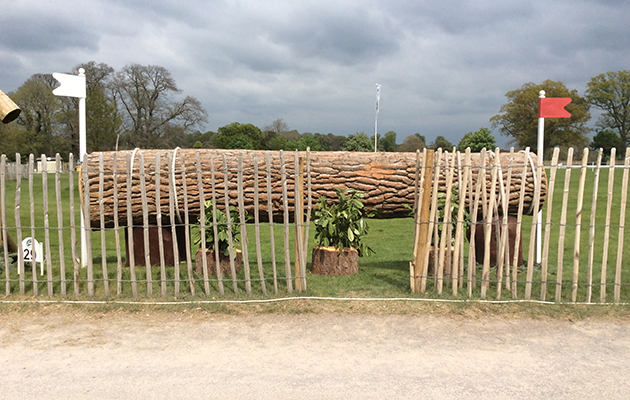 Badminton Fences 2017