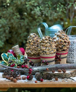 Pinecone bird feeders in winter