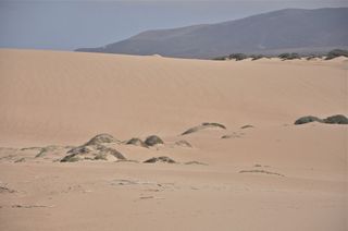 Picturesque Dunes - Guadalupe-Nipomo Dunes