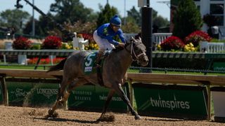 live stream Kentucky Derby 2021