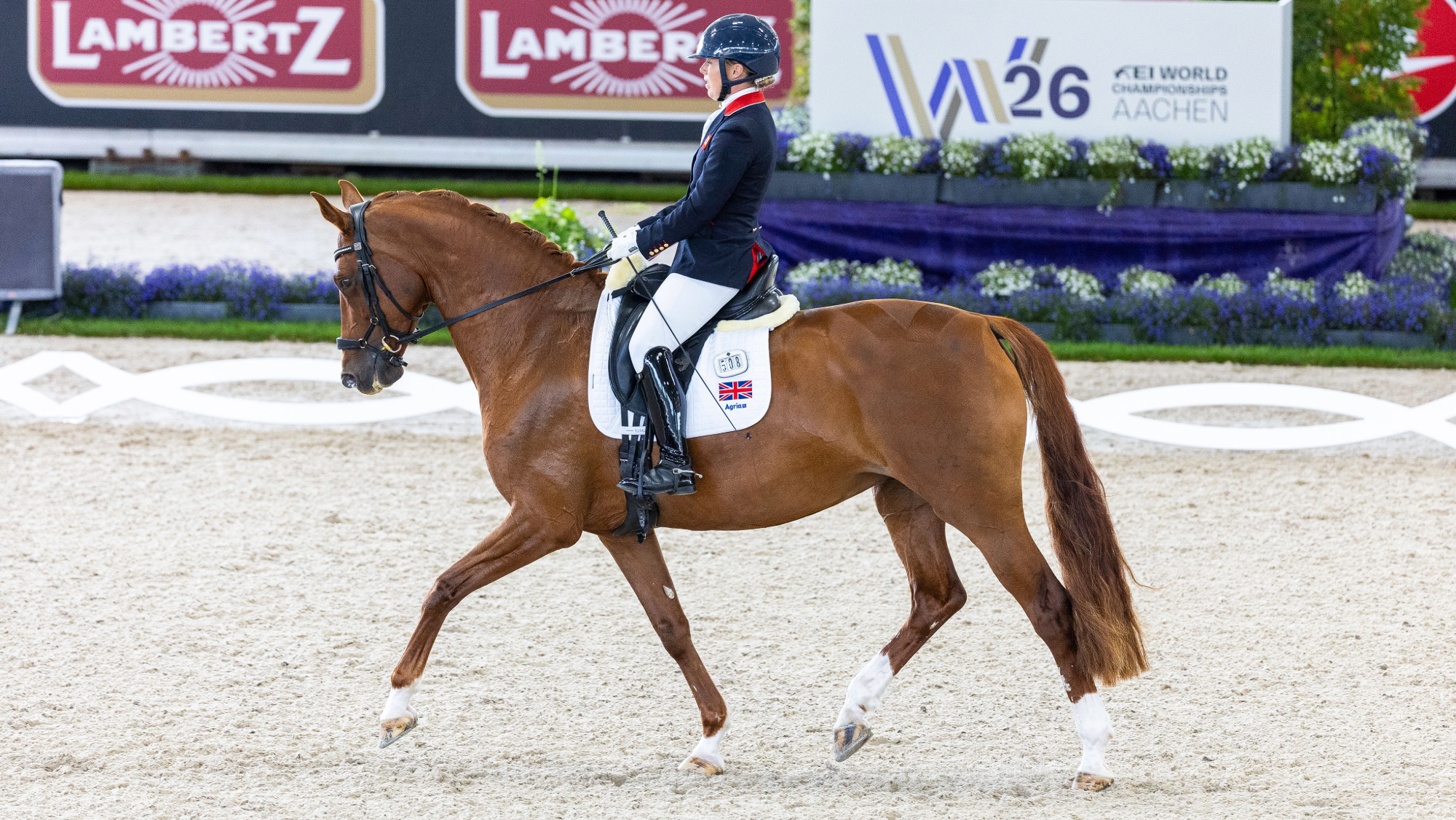 Sophie Wells riding MSJ Gold Standard during her test at the 2026 World Para Dressage Championships in Aachen