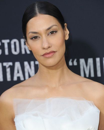 Janina Gavankar as Hannah Howard