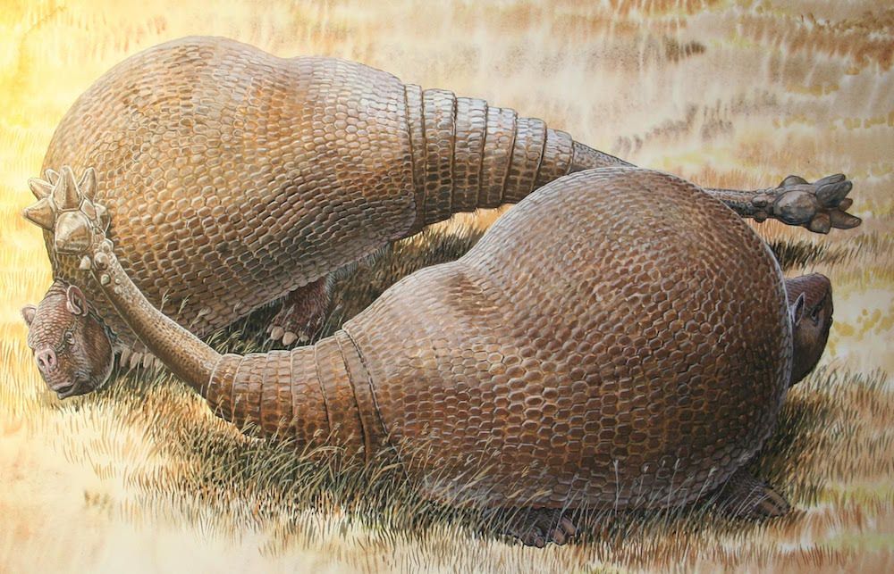 glyptodonts with club tails