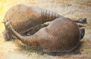 glyptodonts with club tails