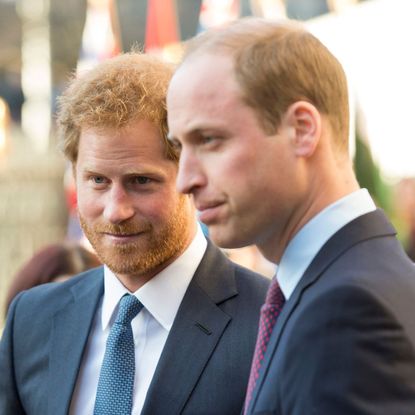 Prince Harry and Prince William attend the Commonwealth Observance Day Service