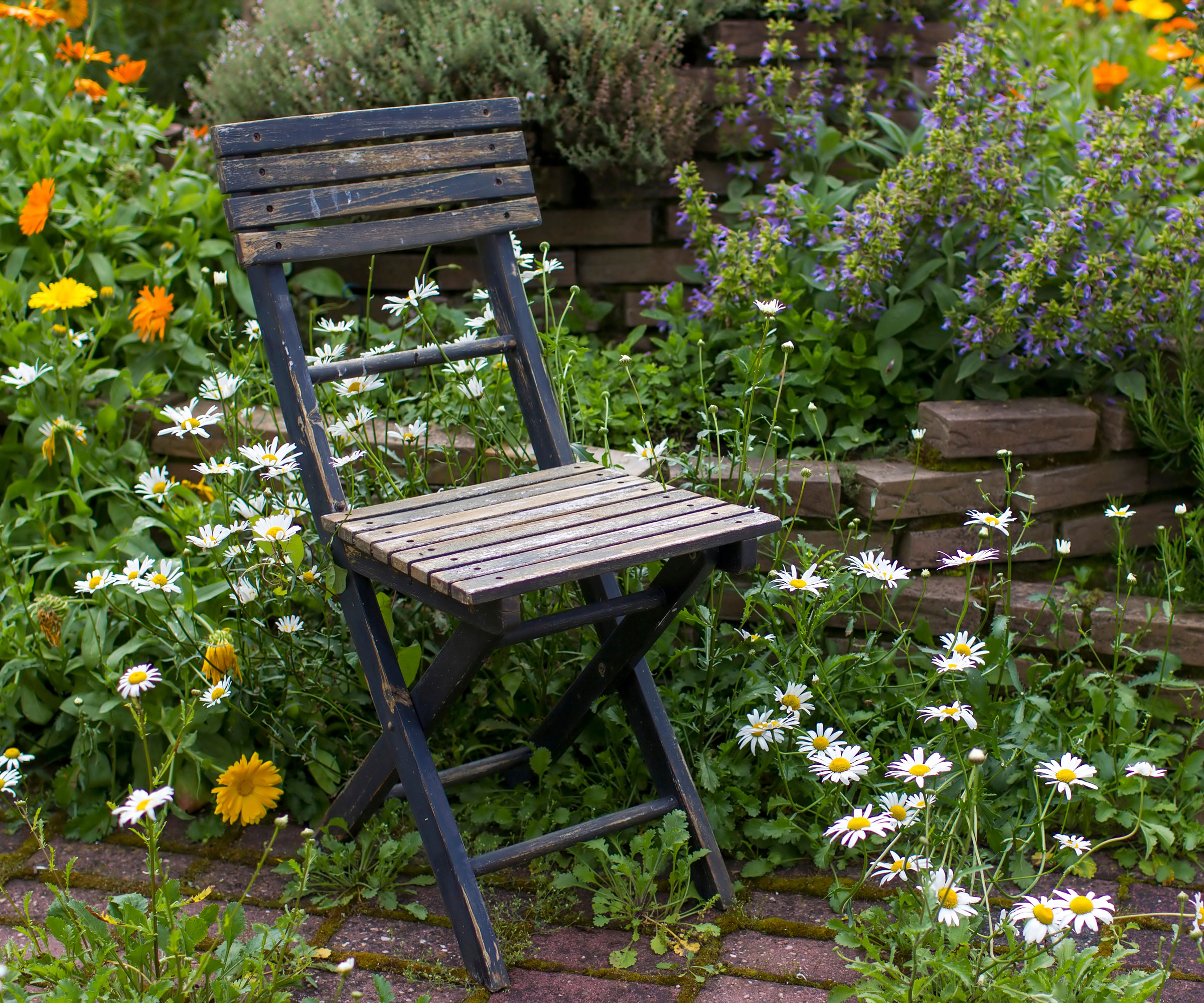 chair placed in shady part of garden with flowers