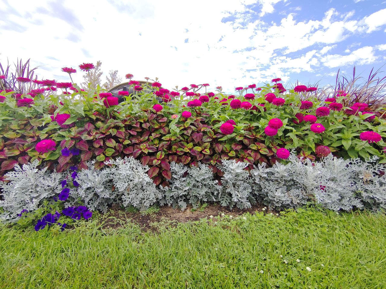 TCL 20 Pro 5G camera samples