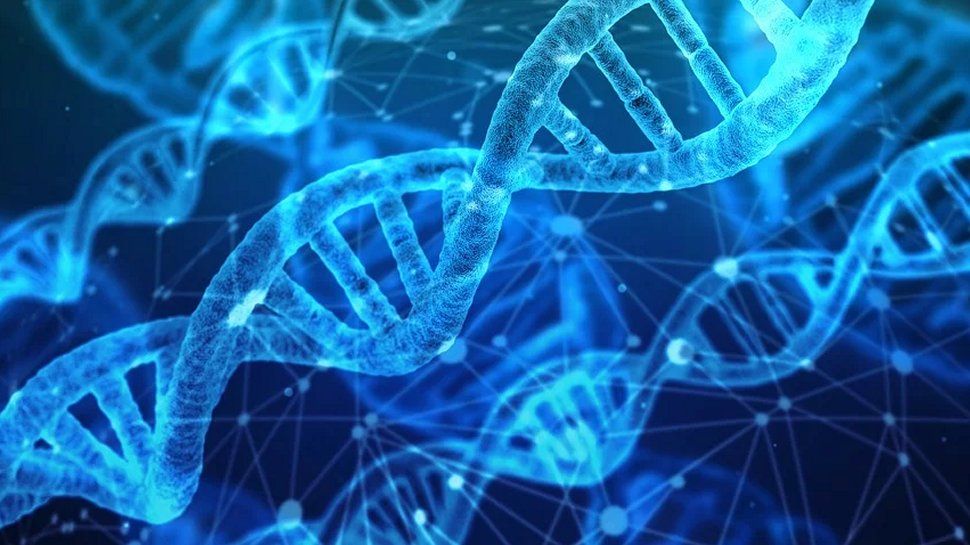 Forget HDDs and SSDs, DNA storage could be the only answer to our data troubles