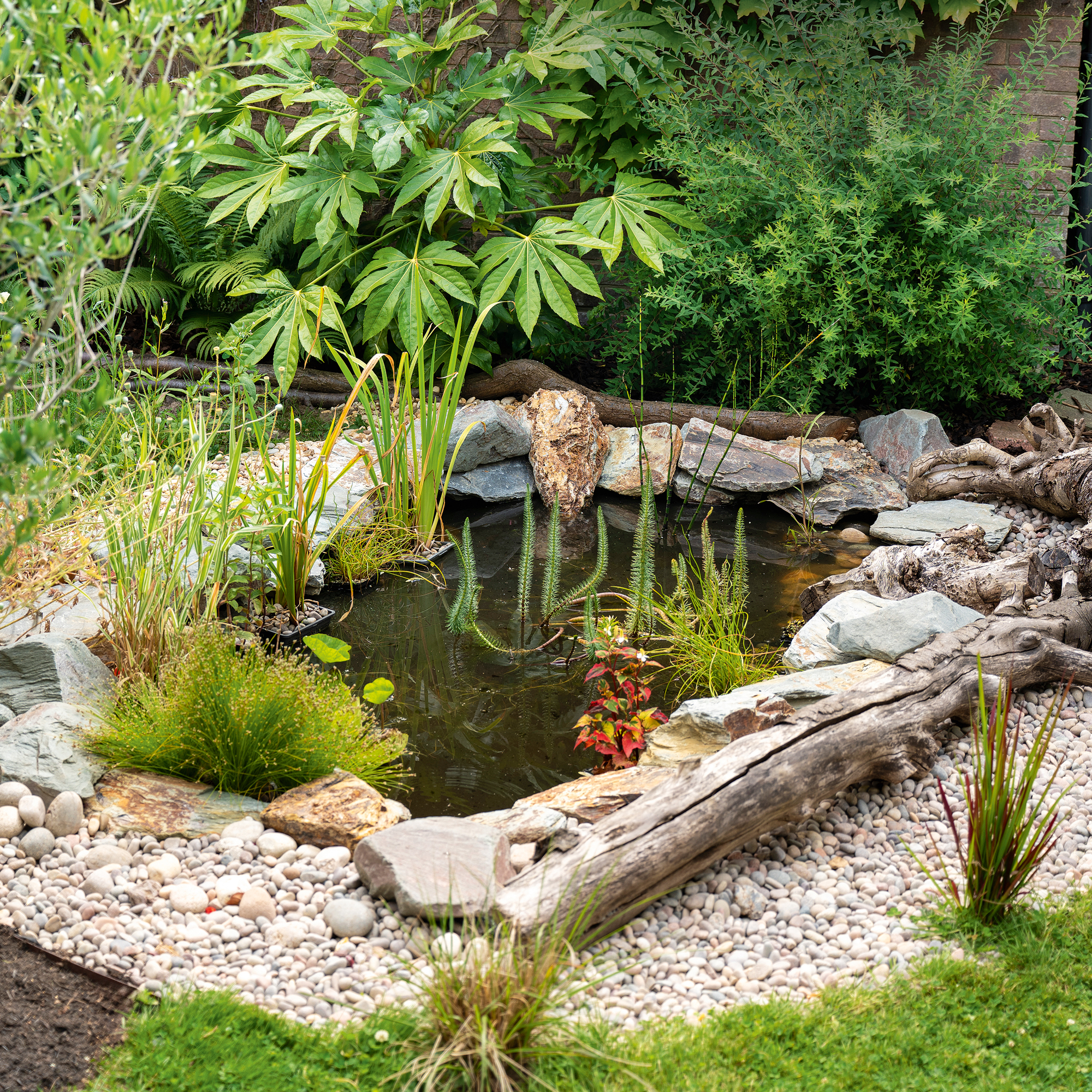 a garden with a natural pond with grasses and stones