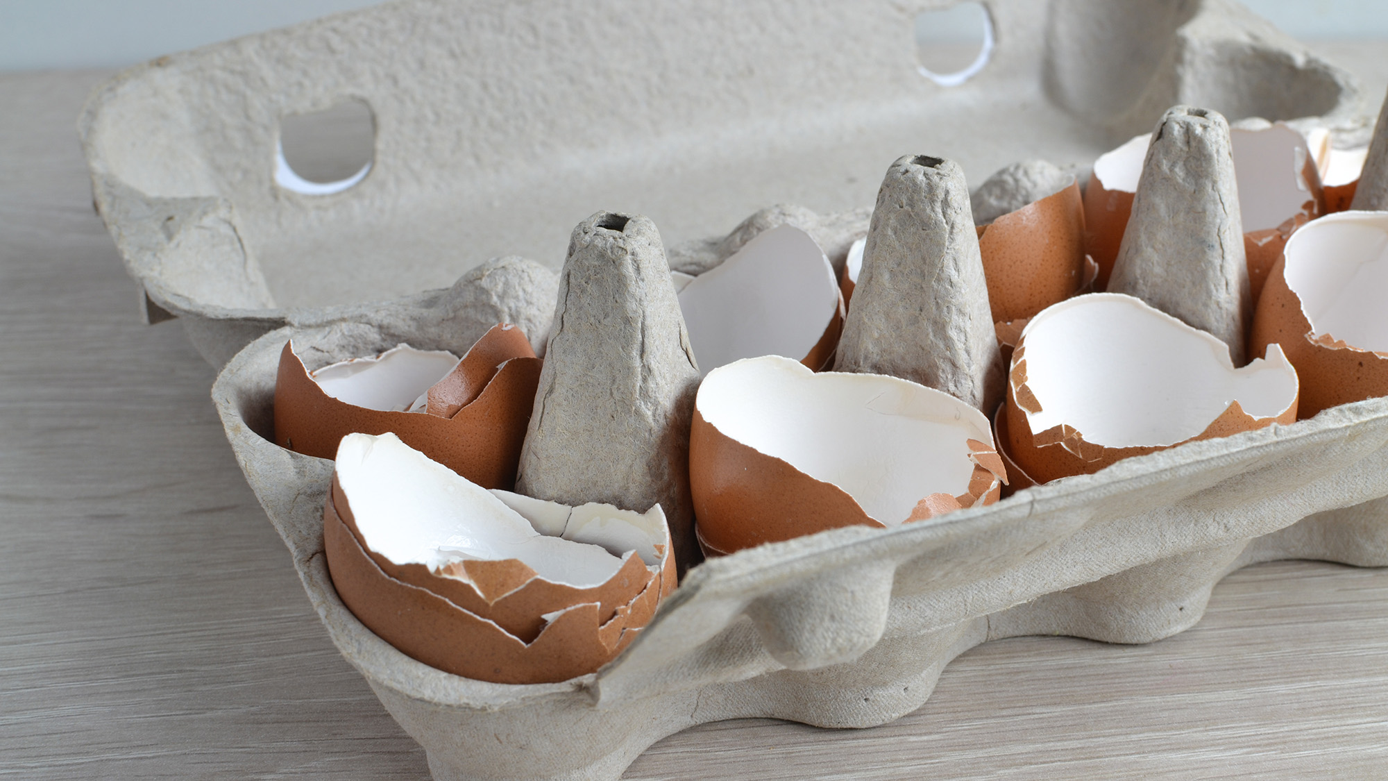 Egg box and egg shells