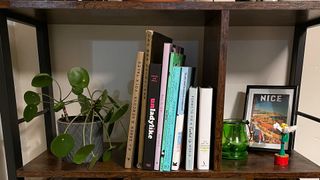 organised bookshelves with a plant and accessories
