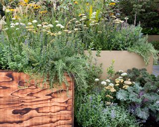the parsley box garden by Alan Williams chelsea 2021