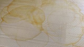 how to clean a mattress: urine stains
