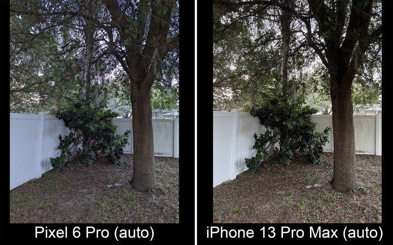 Pixel 6 Pro Vs Iphone 13 Pro Max Low Light