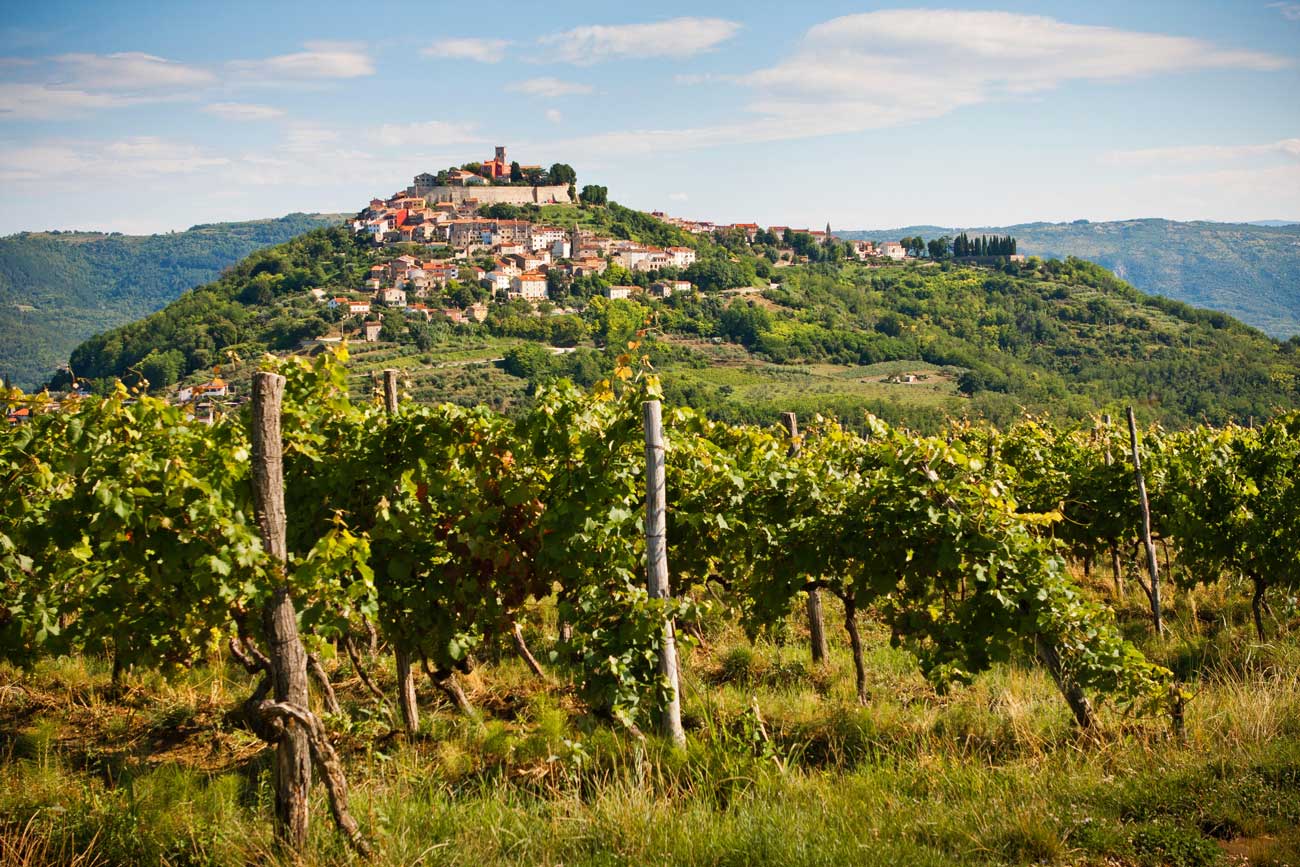 EEGY73-Motovun-and-vineyards-credit-Ve%CC%8Cra-Kailova%CC%81-Alamy-Stock-Photo.jpg