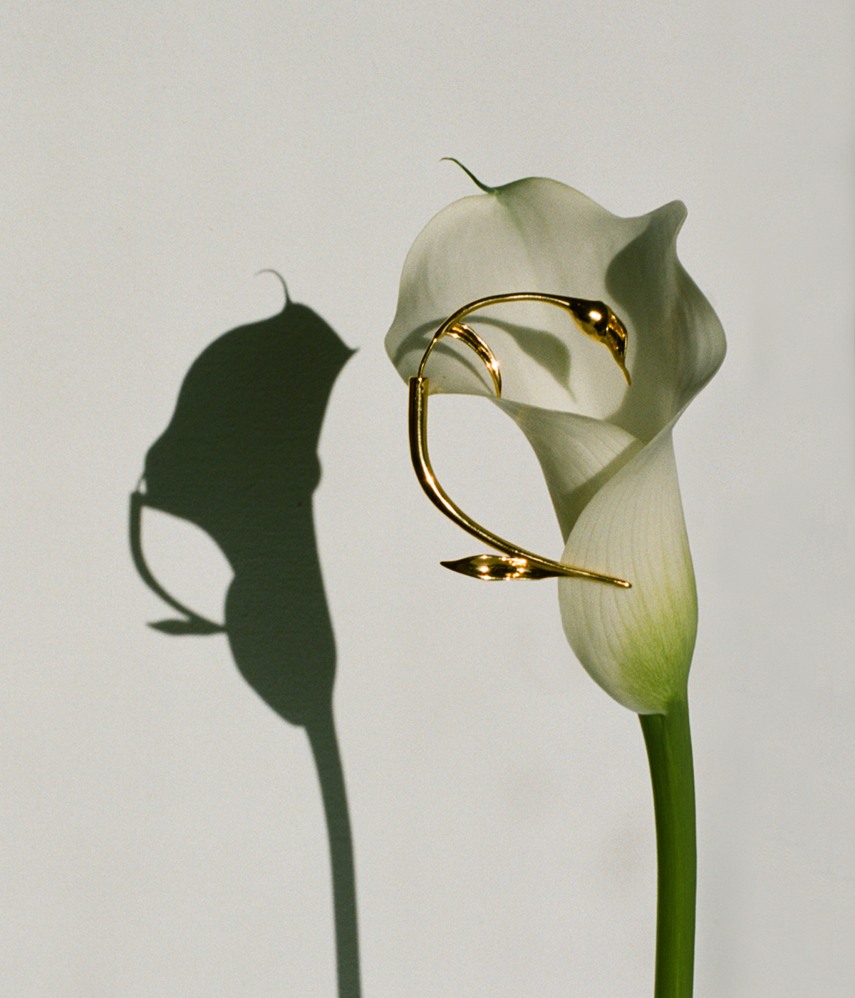 Anissa Kermiche’s floral ode to female sexuality