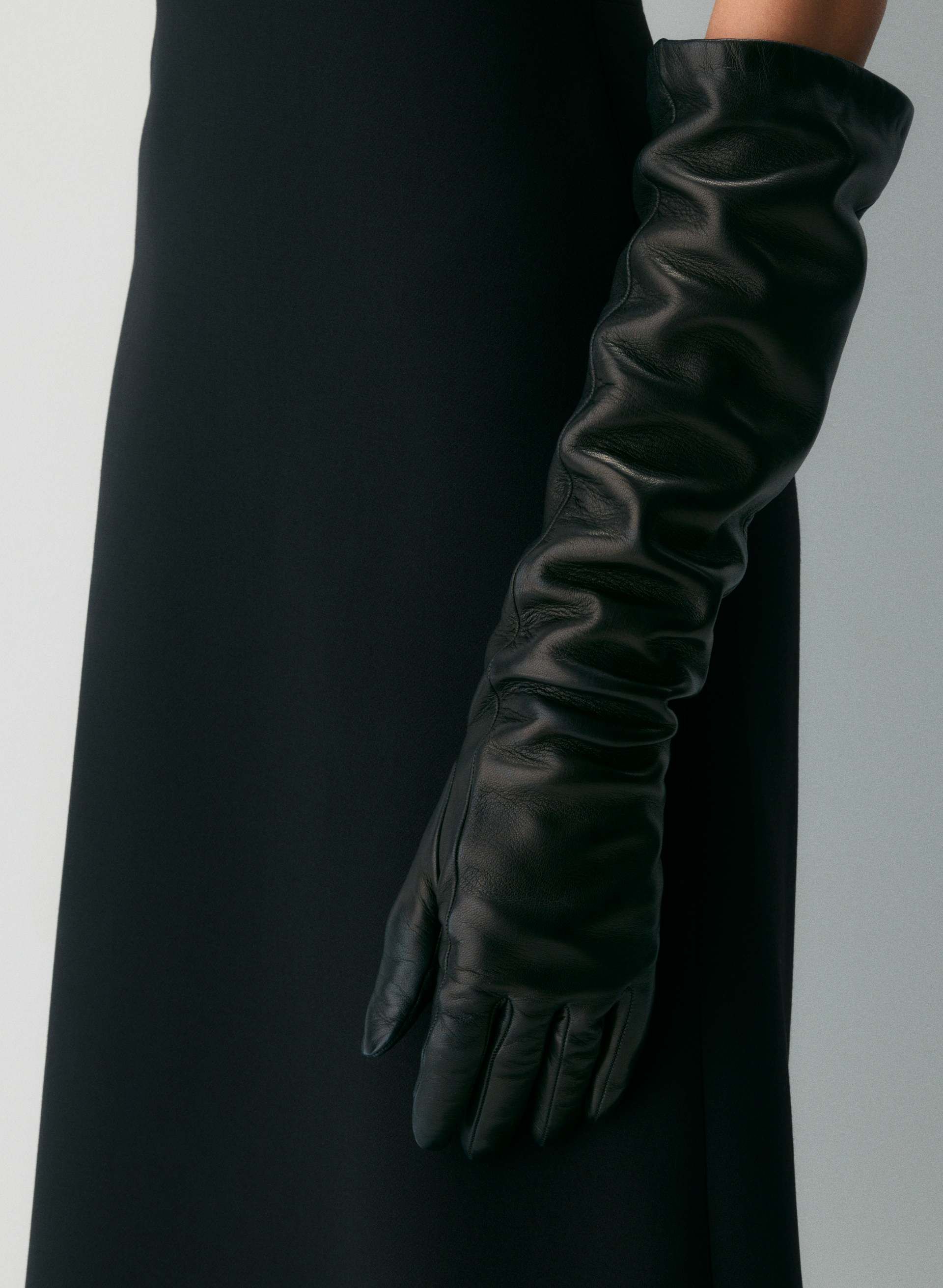 Aritzia Leather Extra-long Gloves.