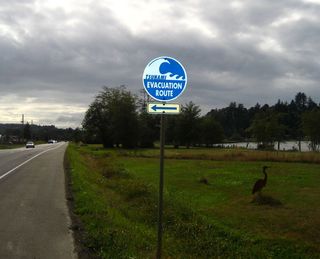 tsunami, western united states