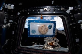 A baked and sealed space cookie.Astronauts have successfully tested a new zero gravity oven for baking tasty treats in space.