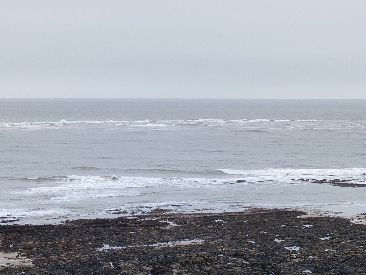 Oppo Find X3 Lite camera sample