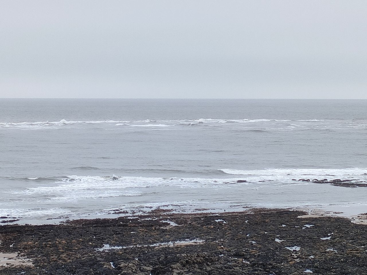 Oppo Find X3 Lite camera sample