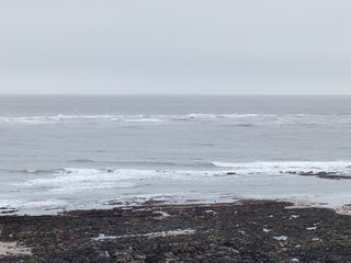 „Oppo Find X3 Lite“ fotoaparato pavyzdys