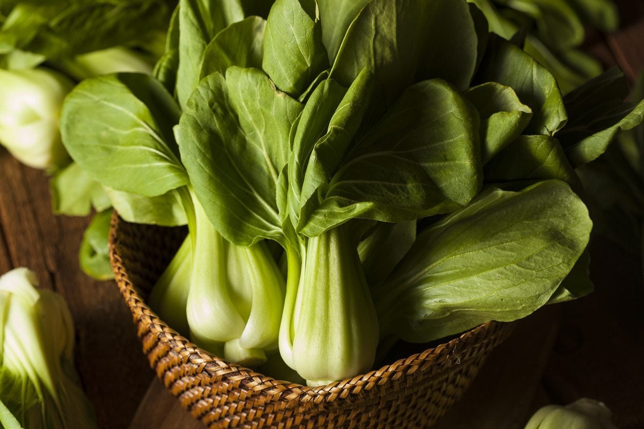 Baby Bok Choy Information - Learn About Growing Baby Bok Choy Plants ...