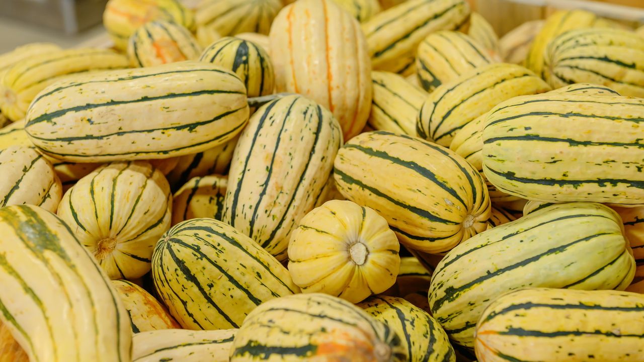 Delicata squash piled in a basket on a market stall