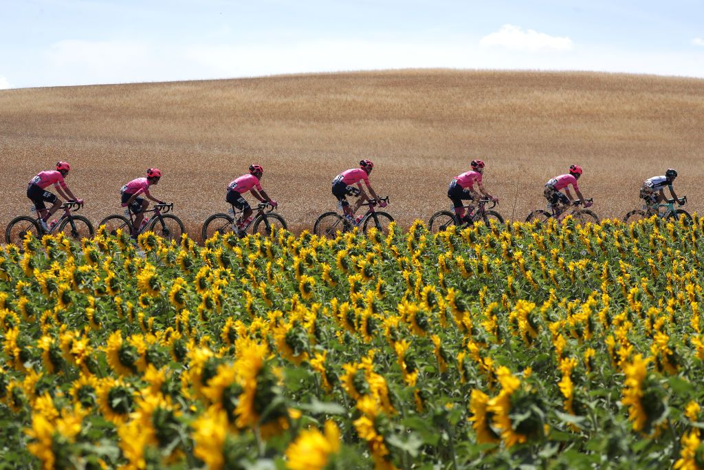 BURGOS SPAIN AUGUST 03 LR Jens Keukeleire of Belgium Hideto Nakane of Japan Jonathan Klever Caicedo Cepeda of Ecuador Hugh Carthy of United Kingdom Lawson Craddock of United States William Barta of United States and Team EF Education Nippo Huat Goh Choon of Singapore and Team BikeExchange the peloton passing through a sunflowers fieldduring the 43rd Vuelta a Burgos 2021 Stage 1 a 161km stage from BurgosCatedral to BurgosAlto del Castillo 980m VueltaBurgos BurgosCycling CapitalMundialdelCiclismo catedral2021 on August 03 2021 in Burgos Spain Photo by Gonzalo Arroyo MorenoGetty Images
