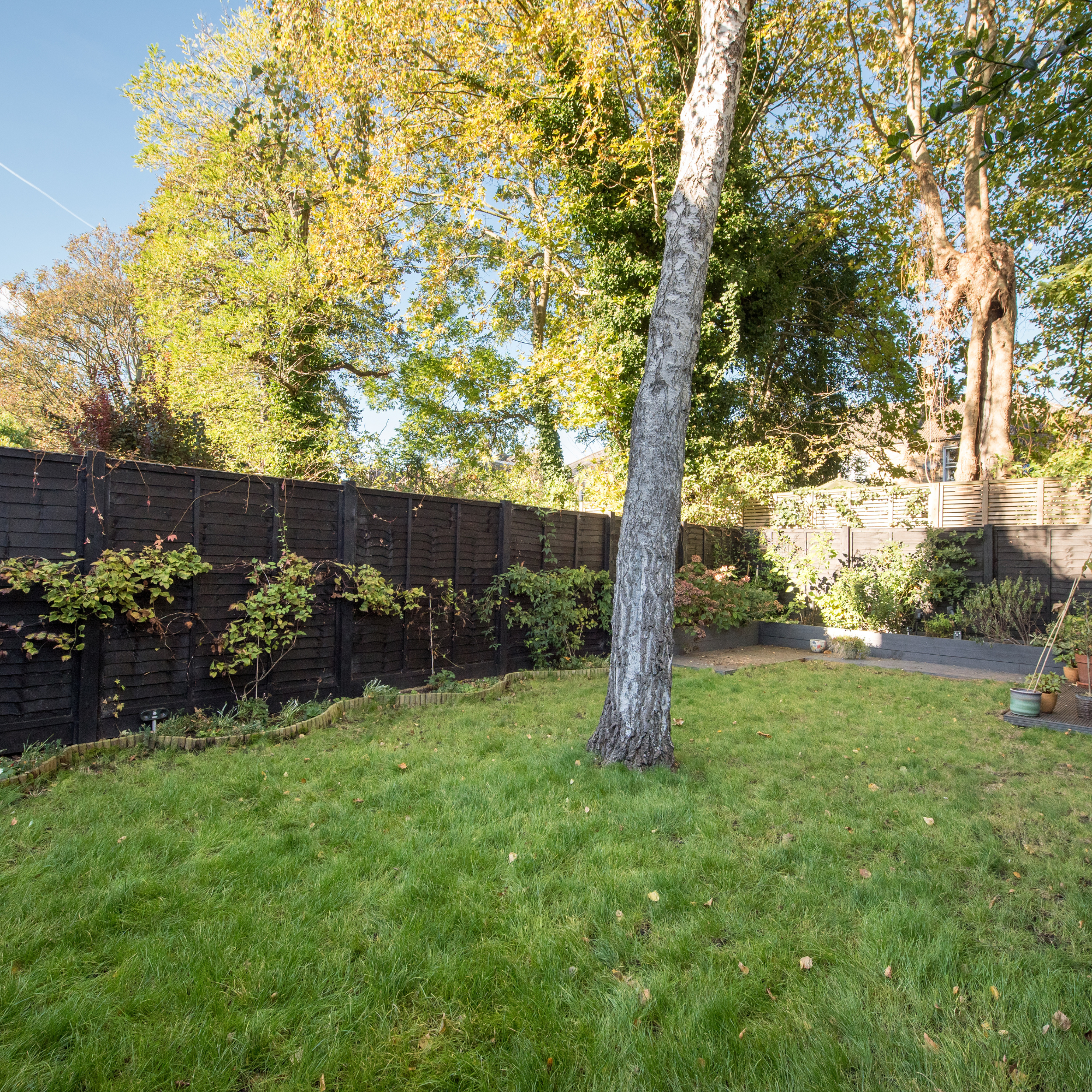 View of a back garden featuring a tall tree and fencing running around the perimeter
