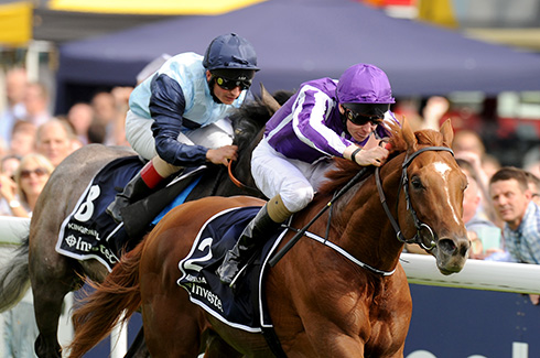 Australia wins the Derby