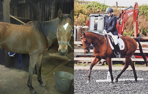 “This is my loan horse Danish Blues. I started loaning him two-and-a-half years ago. He is a genuine-hearted little horse who has a lot to give. After lots of hard work and patience we started competing in dressage last year and have hopes to go affiliated. He is such a hard-working and honest horse — he constantly amazes those around him with how much he gives and still has left in him. I was never looking for a thoroughbred, however I’m so glad I’ve found him and wouldn’t change him for the world!” — Stacey Barr