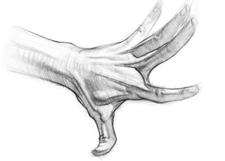 How to draw hands: a sketch showing tendons in the hand