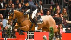Edwina Tops-Alexander and Identity Vitseroel have been selected as a member of the Australian Olympic showjumping team.