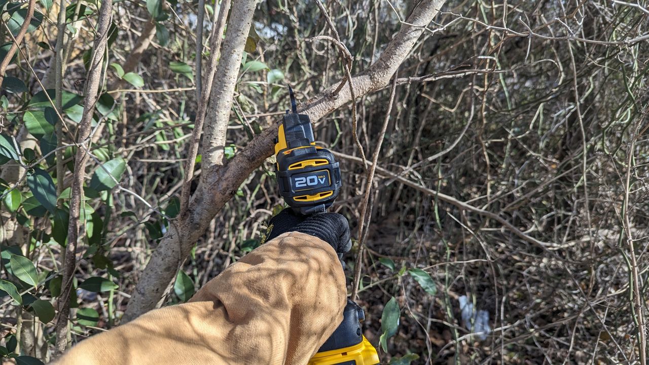 DeWalt 20V MAX Cordless Battery Powered Pruner