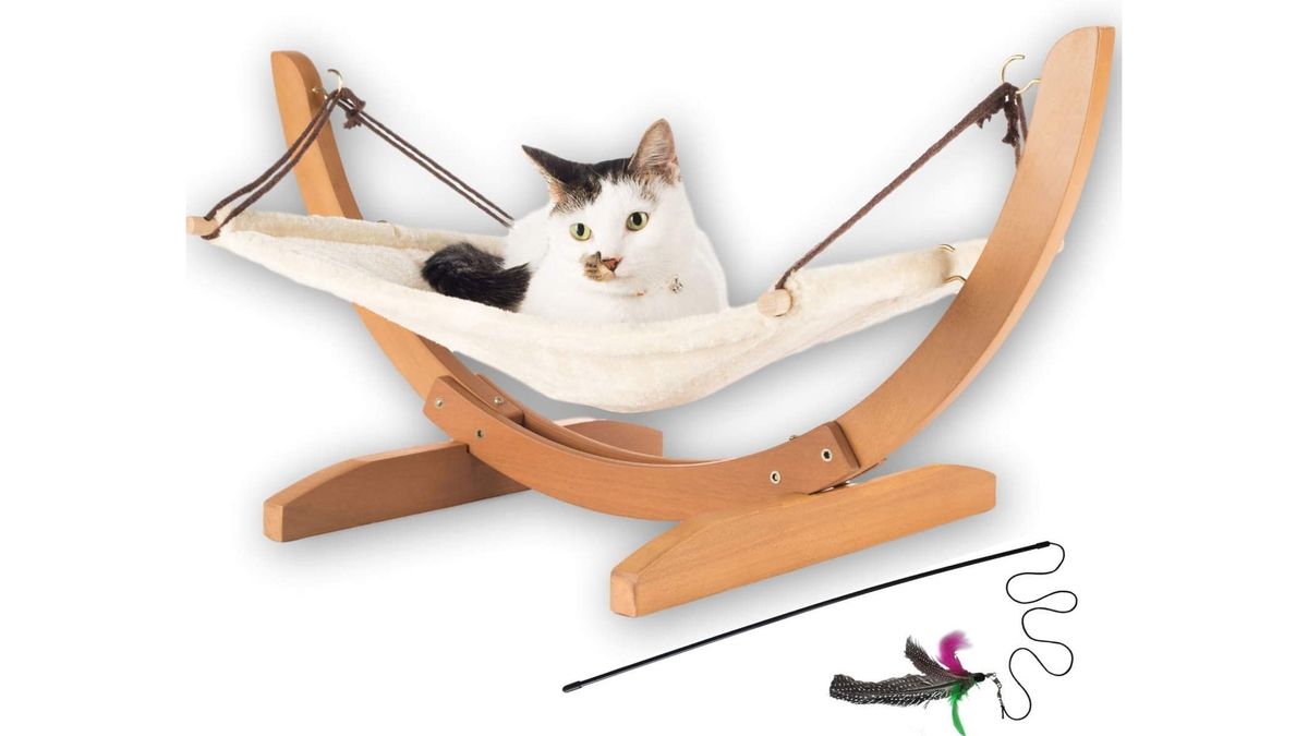 Best cat hammocks 2024 Let your feline hang out in style PetsRadar