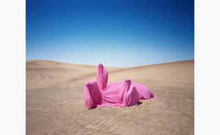 Still life with Camel, by Scarlett Hooft Graafland