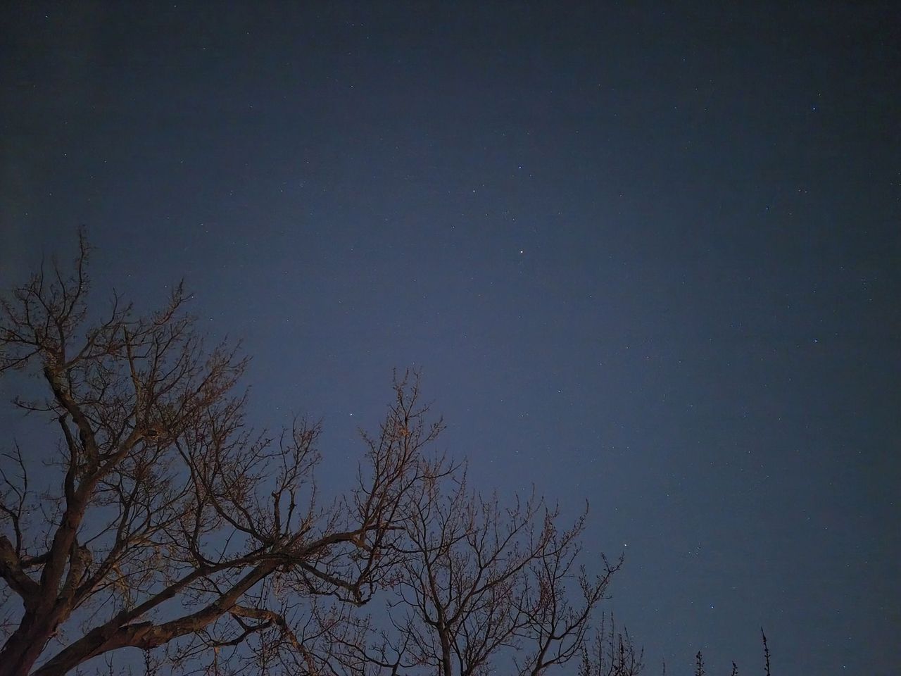 Nothing Phone 3a Pro astrophotography sample in night mode and on tripod.