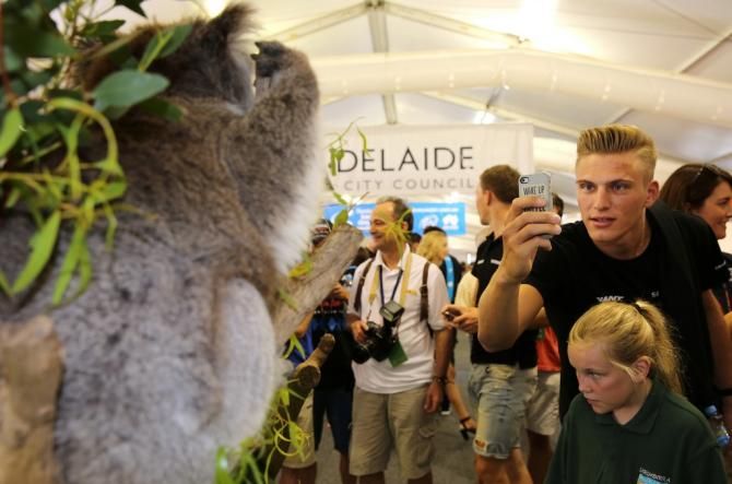Marcel Kittel trying to get the money shot of a koala