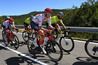 LAGUARDIA SPAIN AUGUST 23 Daan Hoole of Netherlands and Team Trek Segafredo competes during the 77th Tour of Spain 2022 Stage 4 a 1524km stage from VitoriaGasteiz to Laguardia 627m LaVuelta22 WorldTour on August 23 2022 in Laguardia Spain Photo by Justin SetterfieldGetty Images