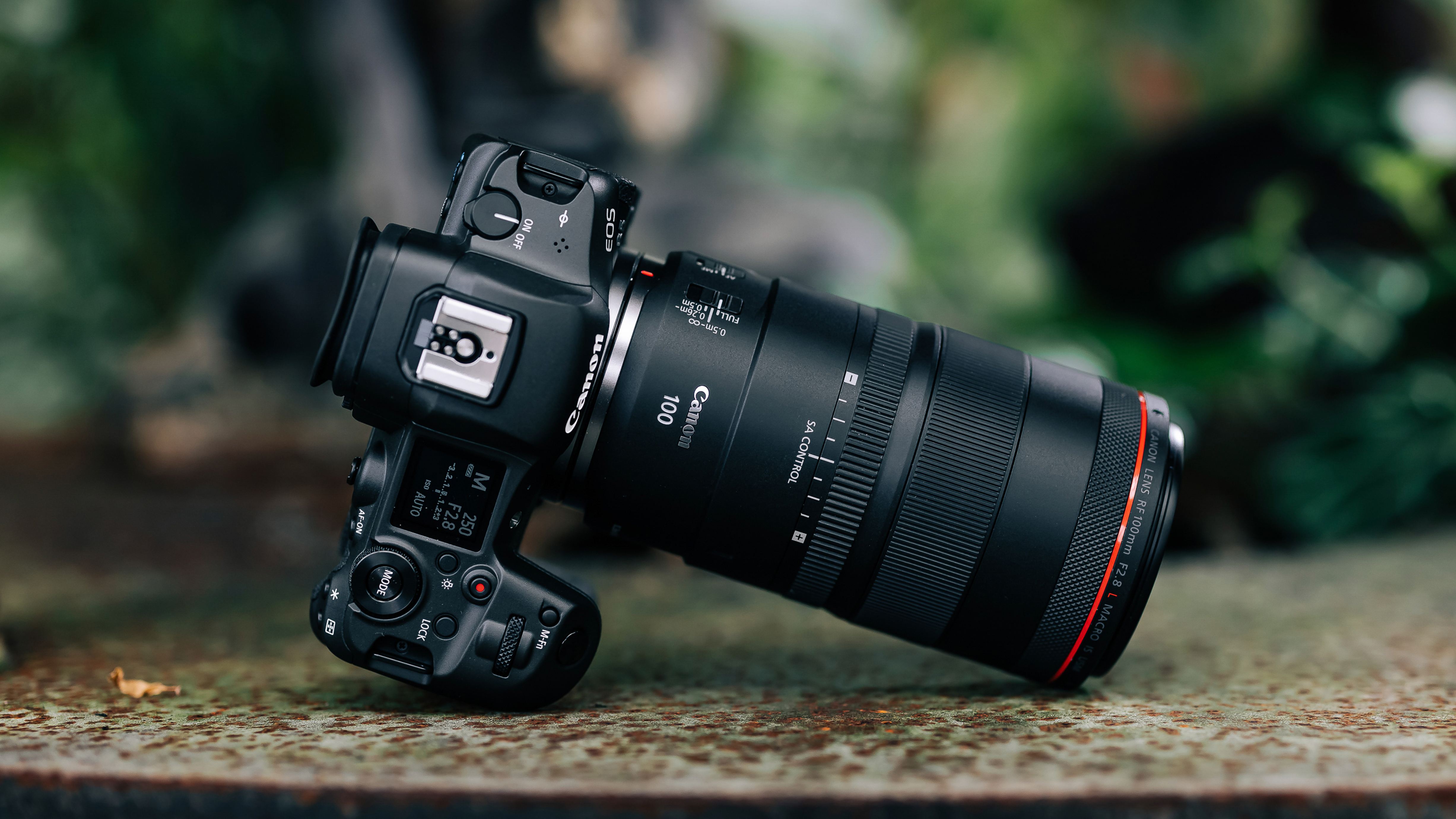 It's here! Canon RF 100mm f/2.8L Macro has 1.4x magnification and ...